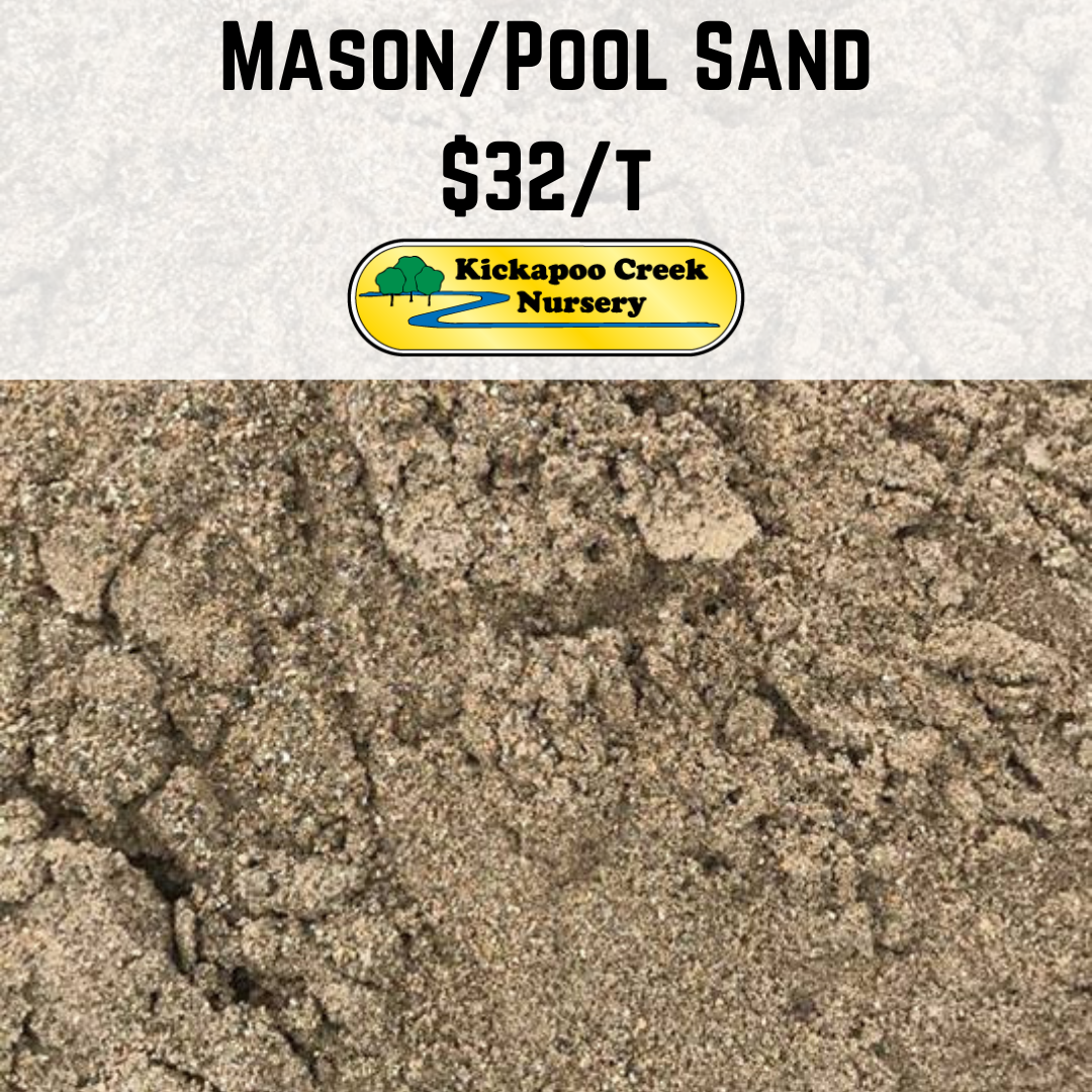 MasonPool Sand 2026