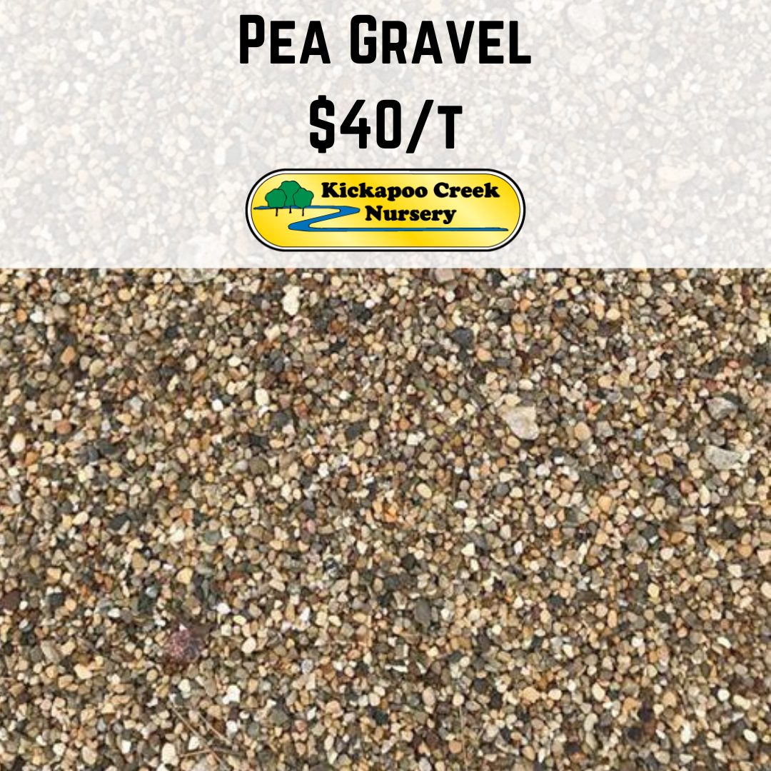 Pea Gravel 2026